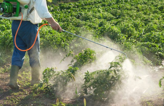 Влияние гербицидов на качество и количество урожая