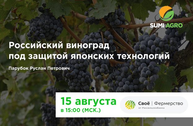 Российский виноград под защитой японских технологий