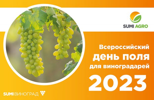 I Всероссийский день поля для виноградарей
