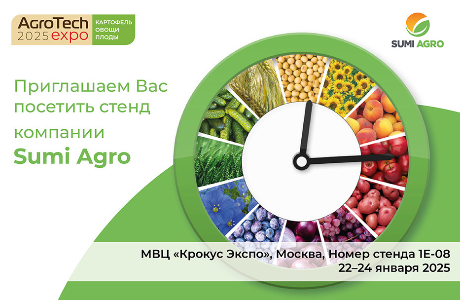 День Поля Картофеля Волгоградская область 23 июля 2021 г.