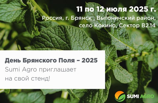День Брянского Поля — 2025
