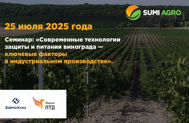Семинар: «Современные технологии защиты и питания винограда — ключевые факторы в индустриальном производстве»