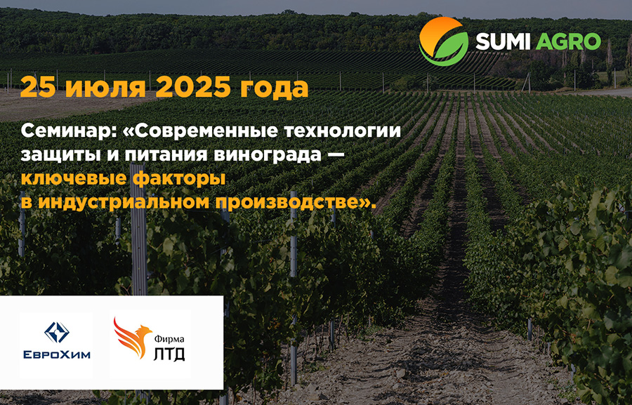 День Поля Картофеля Волгоградская область 23 июля 2021 г.