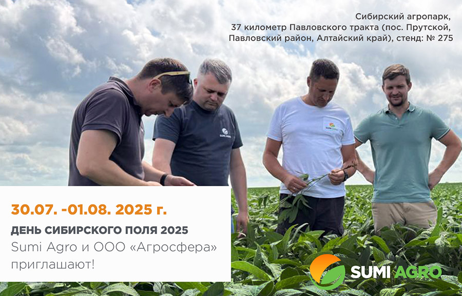 День Поля Картофеля Волгоградская область 23 июл