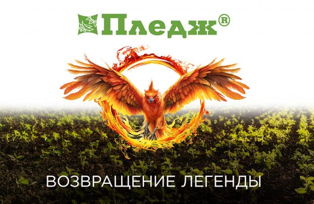 Возвращение легенды