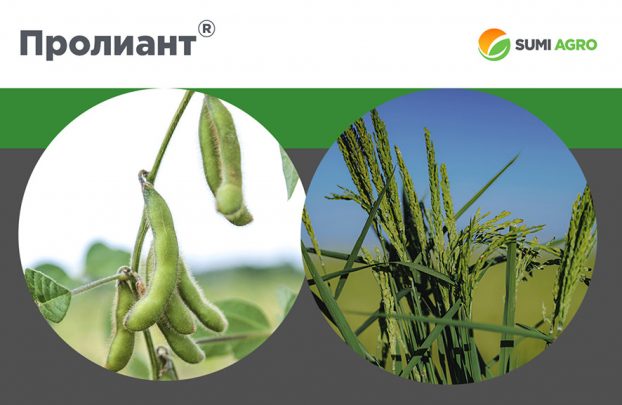 Sumi Agro получила свидетельство о государственной регистрации на Пролиант<sup>®</sup>
